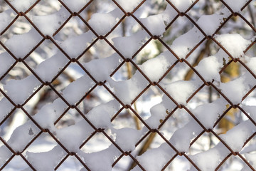 Netting net covered with snow