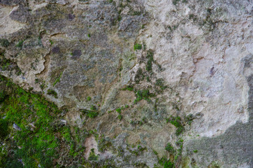 Stone wall texture