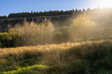 Sun rays highlighting several trees and meadow, mountain hill with waterfall in background, autumn landscape