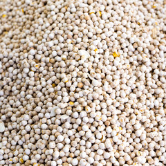 Close up of many toasted chickpeas to eat