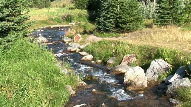 Johnson Lake Stream