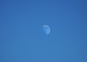 Moon