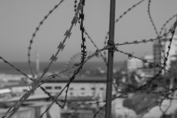 Barbed wire fence, Beirut, Lebanon, Middle East