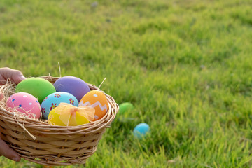 Happy Easter. Easter eggs concept.  A boy gathering colorful egg in park.The colorful of Easter eggs in nest on grass green background.