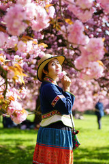 Femme Hmong au milieu des fleurs de sakura