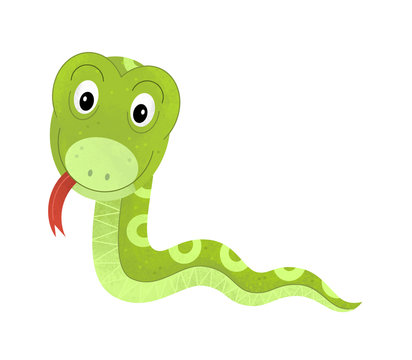 cartoon scene with snake on white background with sign name of animal - illustration for children