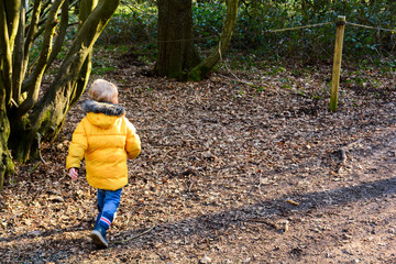 Young boy exploring outdoors and learning to climb trees