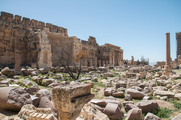 Obraz premium Ruins of Baalbek, Lebanon