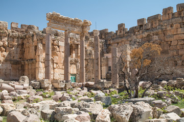 Obraz premium Ruins of Baalbek, Lebanon