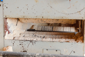 Machine for cutting wood on the boards. Sawmill. production of boards. Wood processing factory.