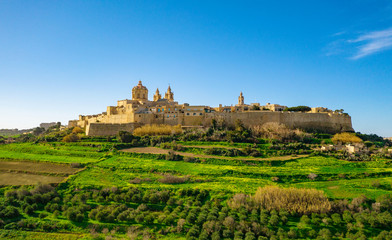 Mdina city - old capital of Malta. Greeny Winter Malta island. Morning time. Landscape view - obrazy, fototapety, plakaty