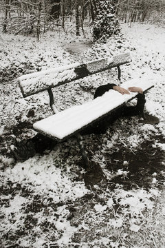 Il neige sous le banc public 