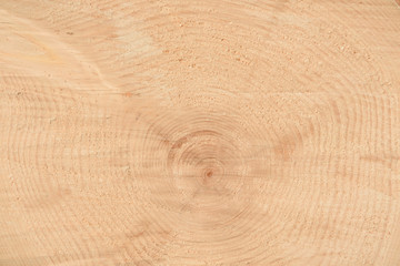 The texture of the end of the tree. Saw cut wood close up. Rough-wood on floors. Wood background.