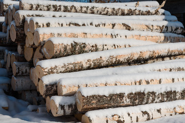 Wood logs in a stack. Cut trees in the stack. Many sawed trees. Warehouse wood.