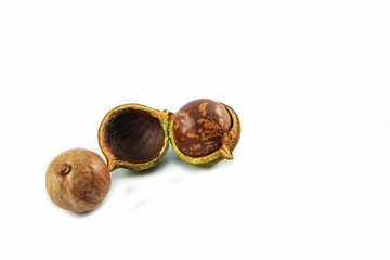 Organic macadamia nuts isolated on white background - King of nuts