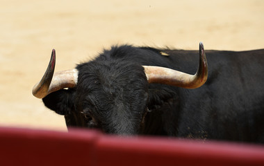 toro español