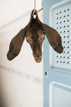 T&ecirc;te de mouton qui pend 