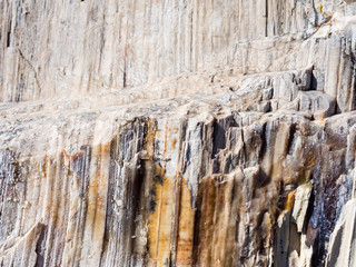 Petrified wood texture background from ancient tree at Ginkgo Petrified Forest State Park, WA, USA