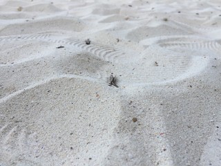 Sand on the beach