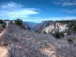 Hiking the top of Zion Canyon