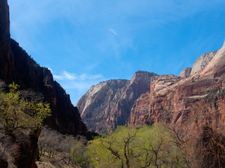 Fototapeta premium Zion Canyon