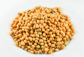 soybeans or soya beans grain seed on white background