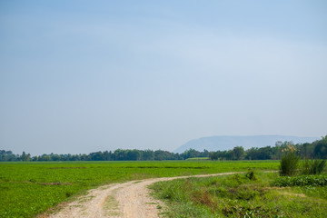 road field countryside