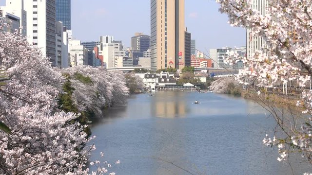 「外濠公園」の写真素材 | 912件の無料イラスト画像 | Adobe Stock