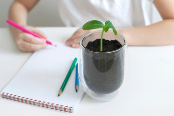 A child writes in an empty notebook. Kid looking at plant seedling. Biology class. ucumber leaves. Ecology concept