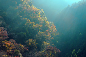 秋の奥多摩湖