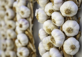 Dry garlic for cooking