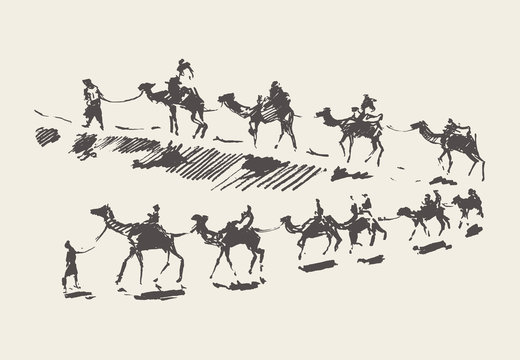 Caravan camels desert rawn vector sketch drawn