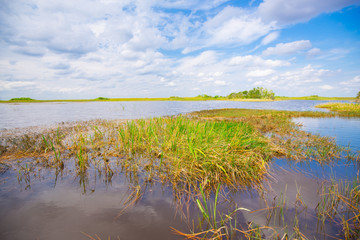 Everglades National Park. Swamps of Florida. Big Cypress National Preserve. Florida. USA.