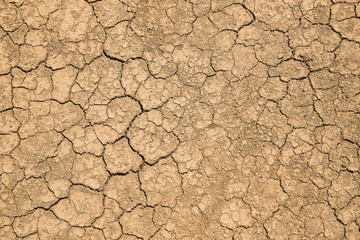 Cracked dry earth texture