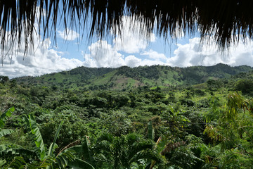 Obraz premium in a cabana looking out across the jungle