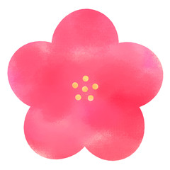 ピンク色の花　梅