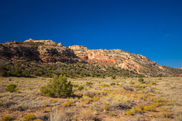 Obraz premium Colorado National Monument. National park in the Mesa County, Colorado. USA