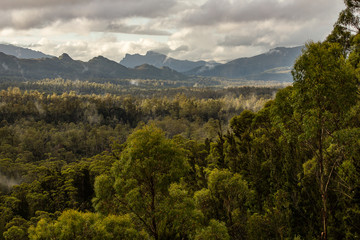 Obraz premium Franklin-Gordon Wild Rivers National Park, Tasmania
