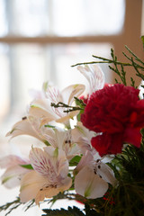 Bouquet in front of sunlit window