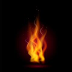 Fototapeta premium Realistic fire flames on black background