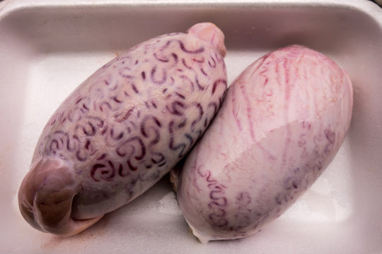 Bull testicles on a white plastic tray