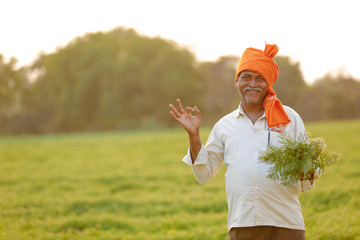 Indian farmer at the chickpea field, farmer showing chickpea plants