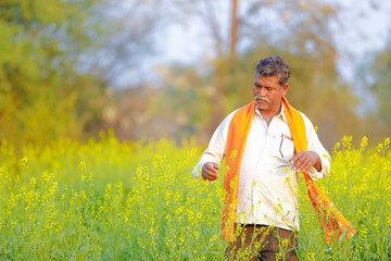 Indian farmer at black mustard field