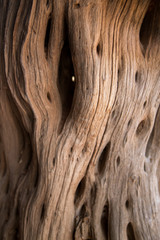 texture background wood rustic 