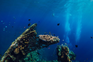 Underwater world with tropical fish, corals and ship wreck