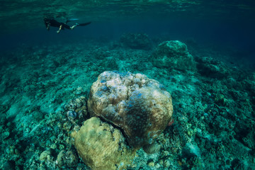 Free diver man swim in ocean and corals, underwater