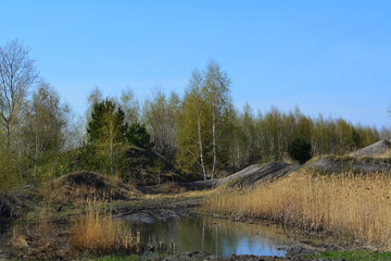 Early spring landscape in Russia. Small hills with herbs and trees.