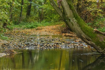 Autumn on the River Juhyne. 