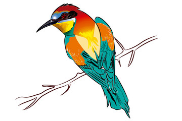 bird  ave