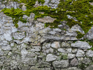mur en pierres avec végétation 